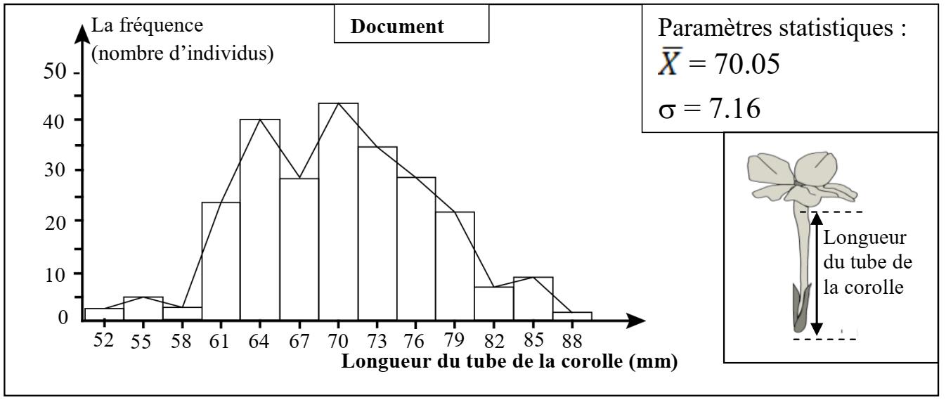svt bac maroc
