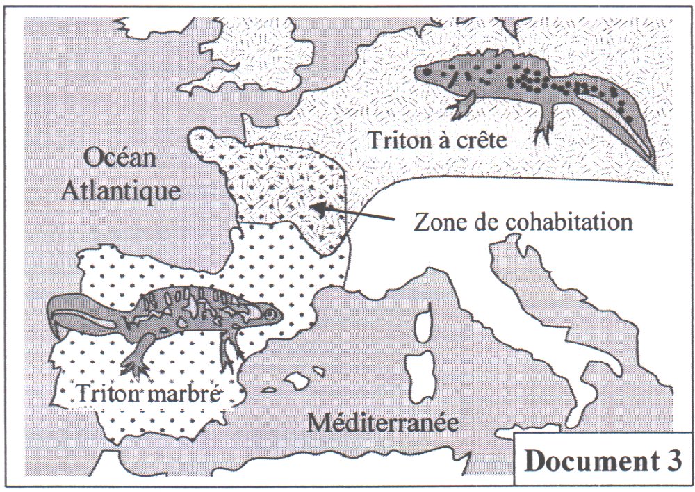 Document 3 : Répartition géographique