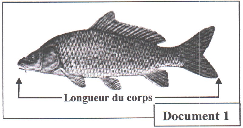 Document 1 : Carpe