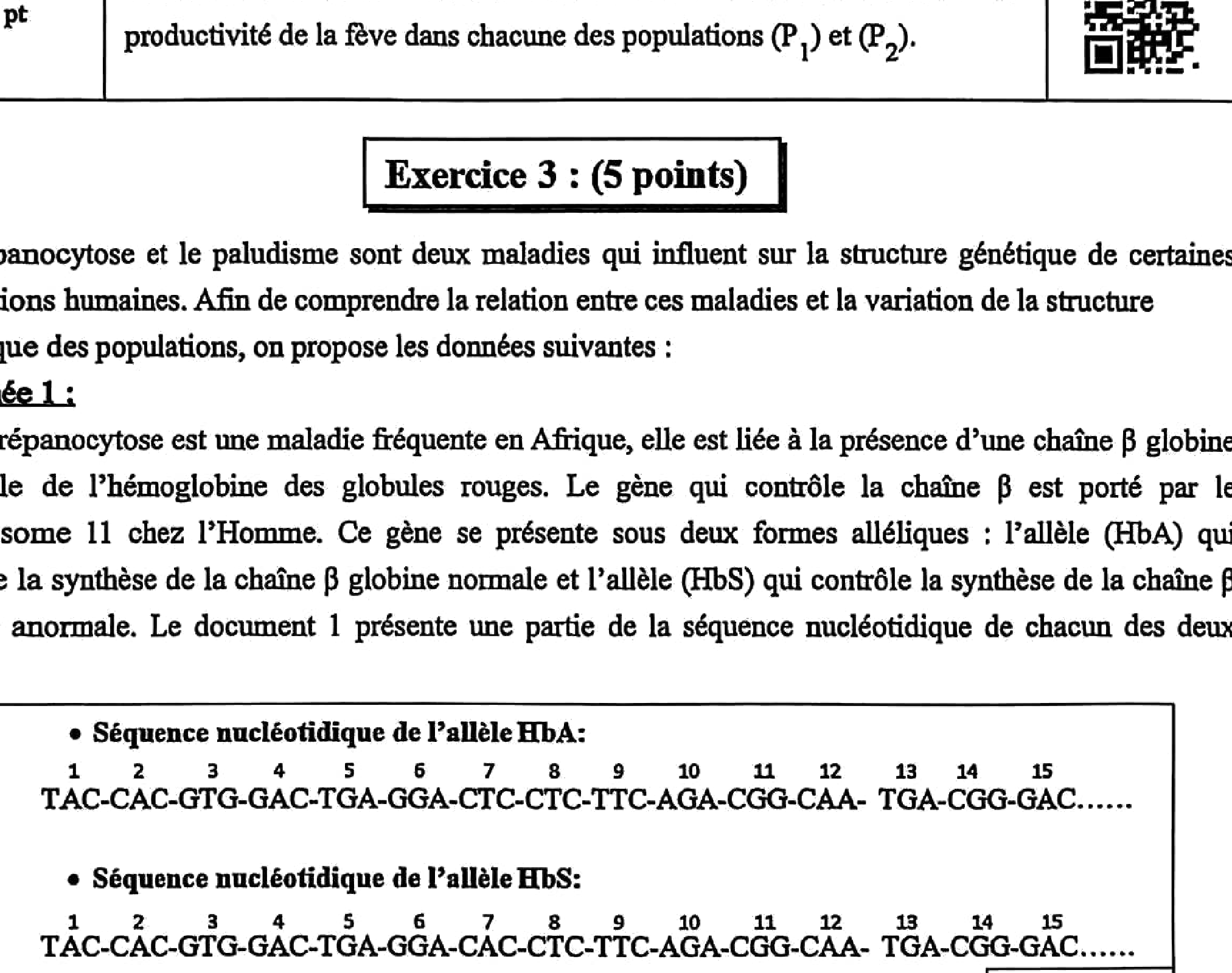 Document 1 : Séquences allèles HbA et HbS