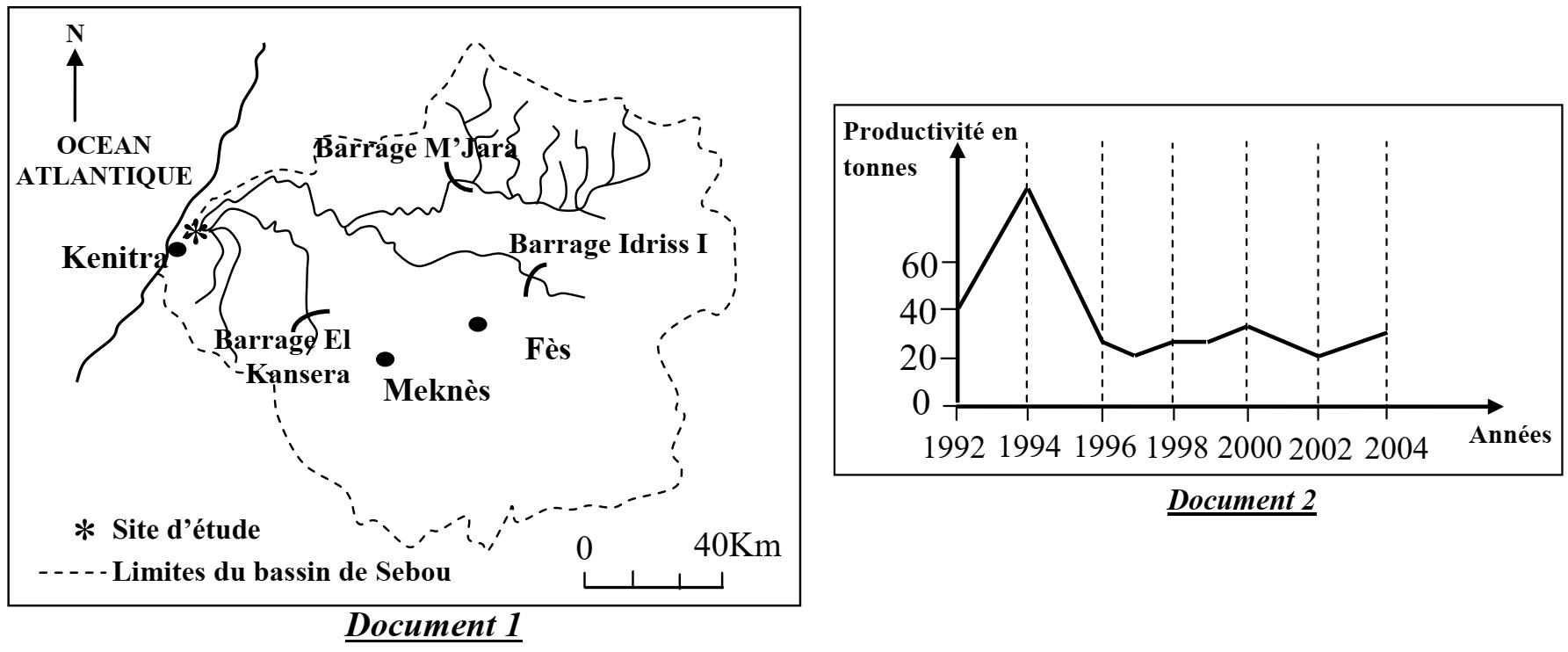 svt bac maroc