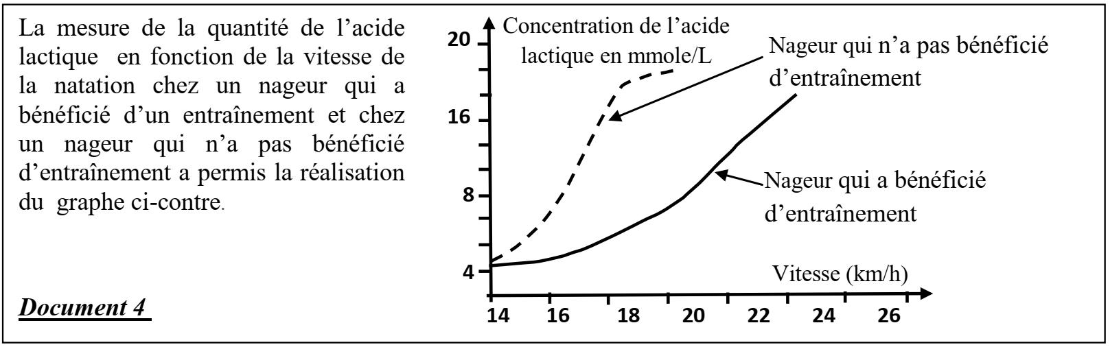 svt bac maroc