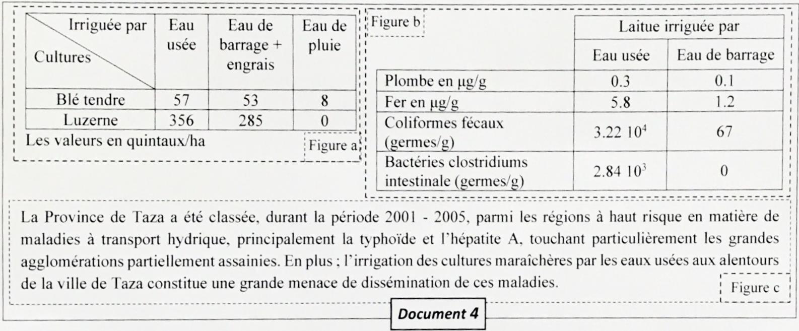 svt bac maroc