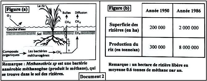 svt bac maroc