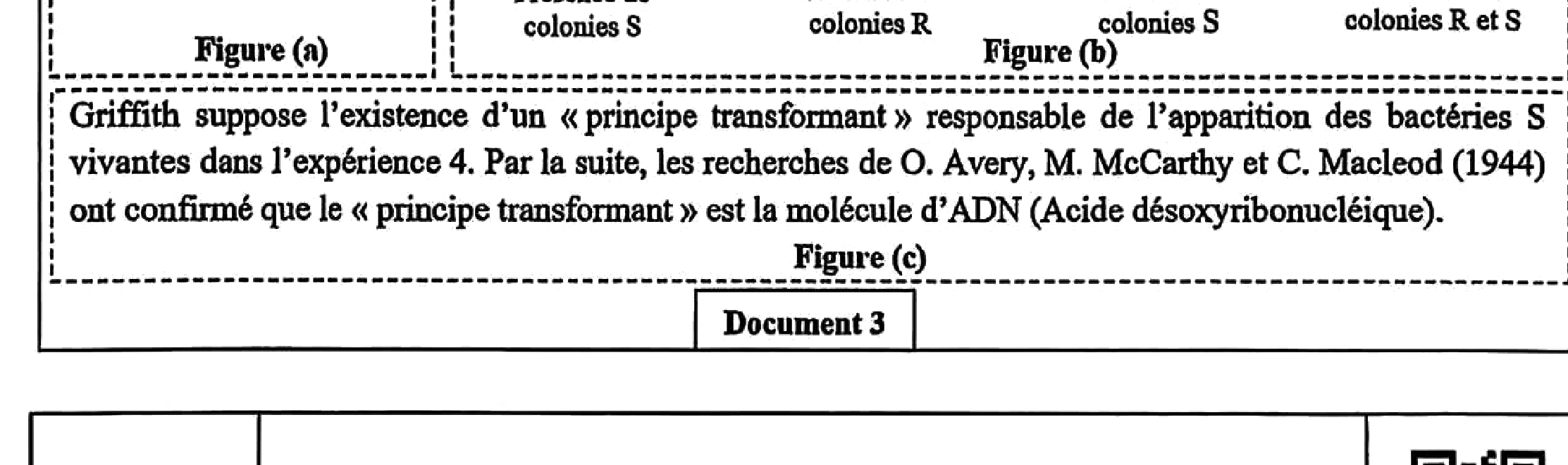 Document 2 : Cartes Yamal pergélisol 2004 vs 2016