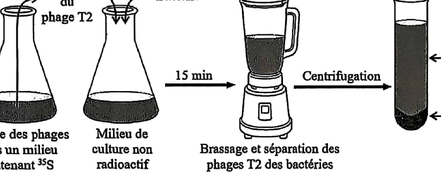 Document 3 : Température Arctique 1940-2020