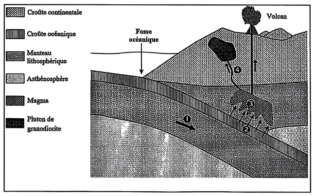 Document 4 : Geo