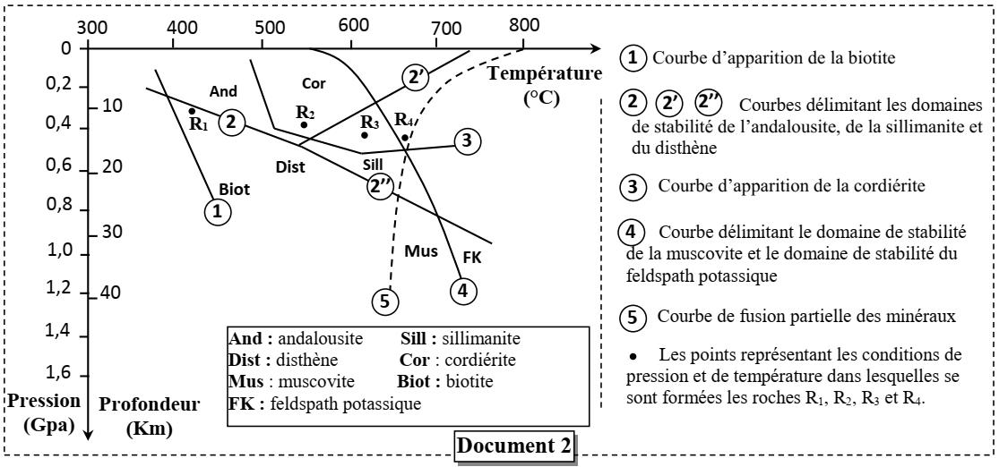 svt bac maroc