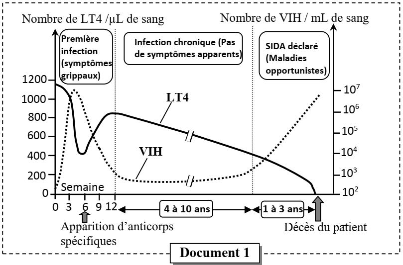 svt bac maroc
