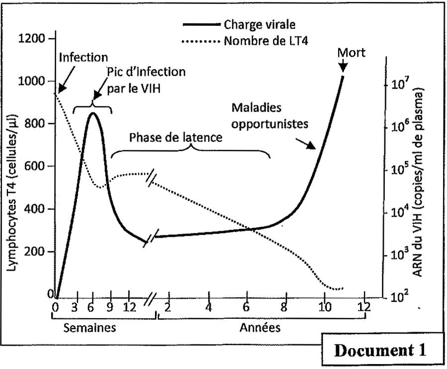 svt bac maroc