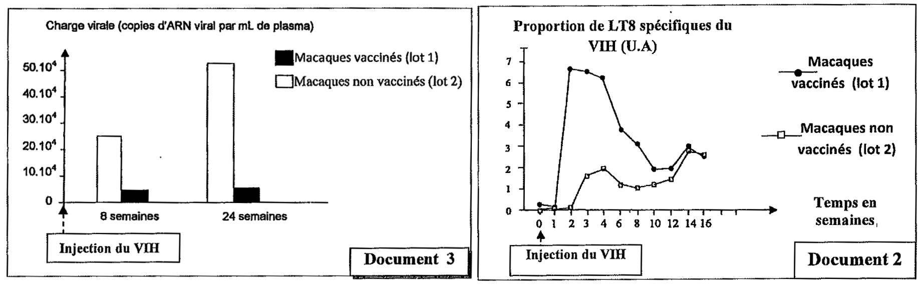 svt bac maroc