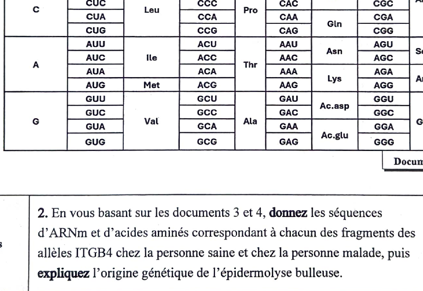 Document 2 : Mécanisme intégrine peau saine vs malade
