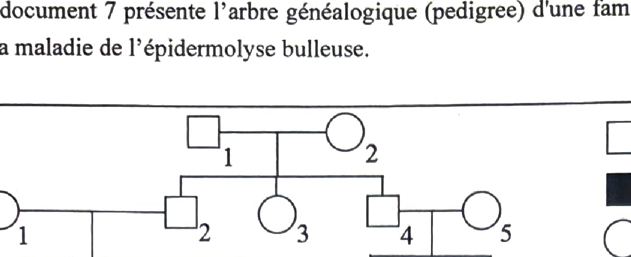 Document 5 : Synthèse intégrine α6β4 avec gentamicine