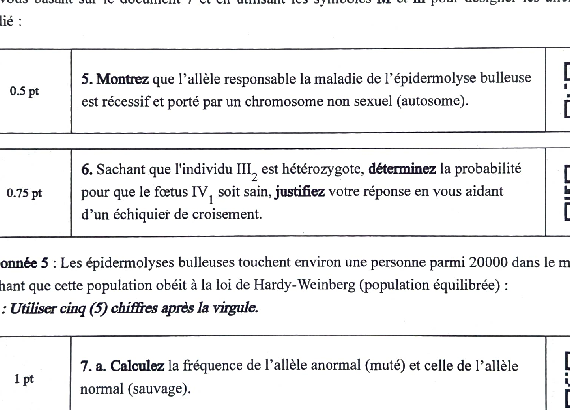 Document 6 : Action gentamicine sur ribosomes