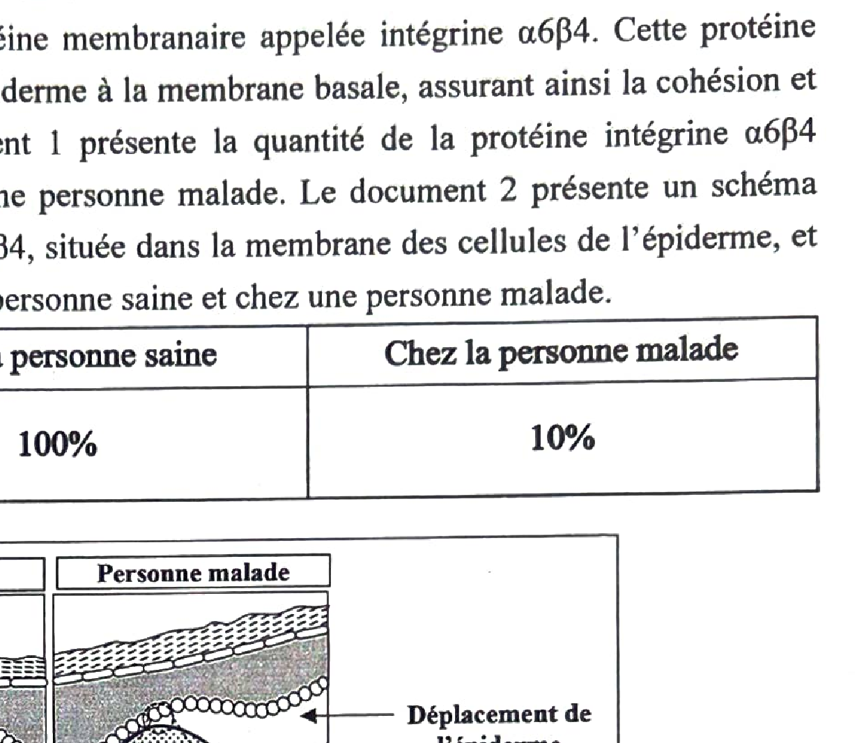 Figure (b) : Voies métaboliques de dégradation du glucose