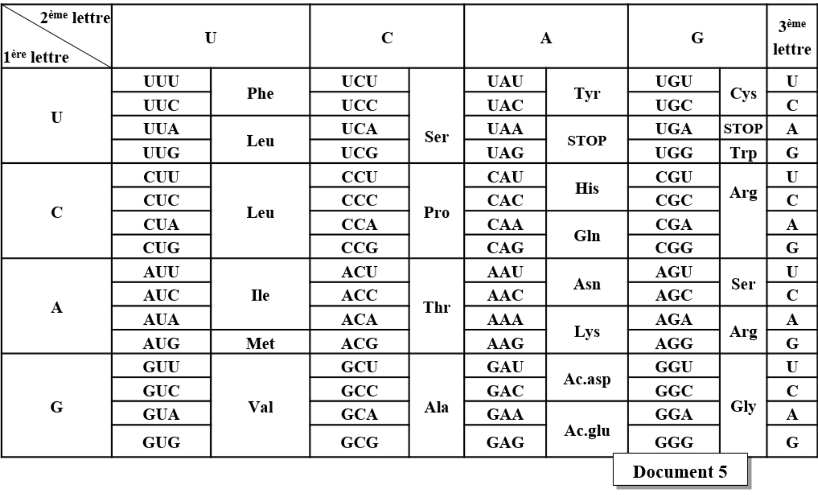Document 5 : Tableau du code génétique