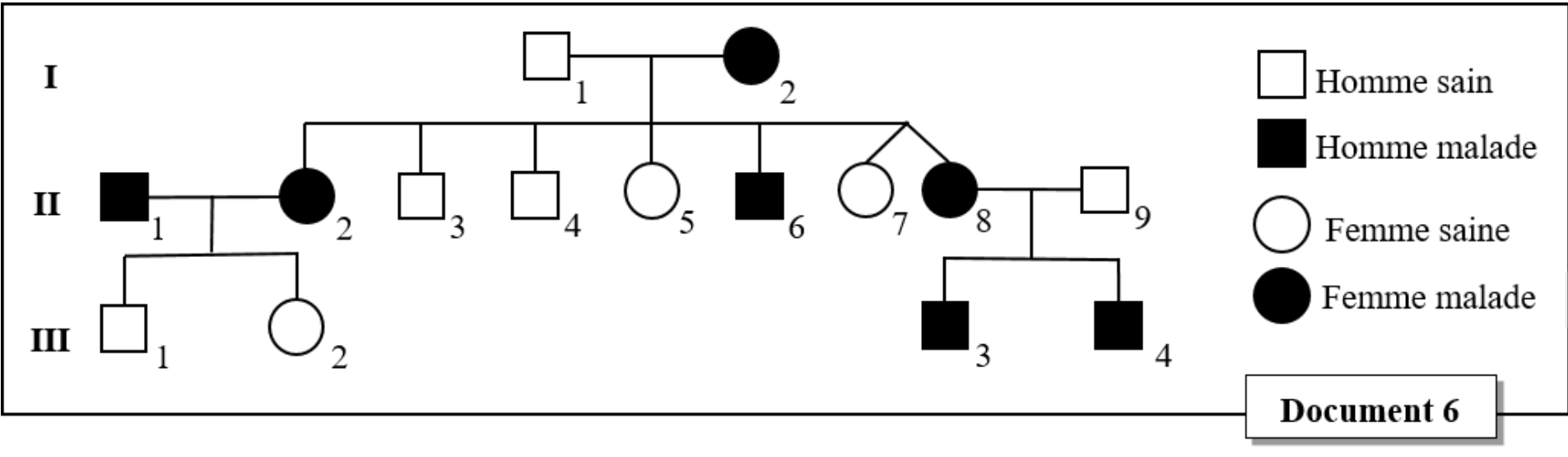 Document 6 : Arbre généalogique du syndrome de Noonan